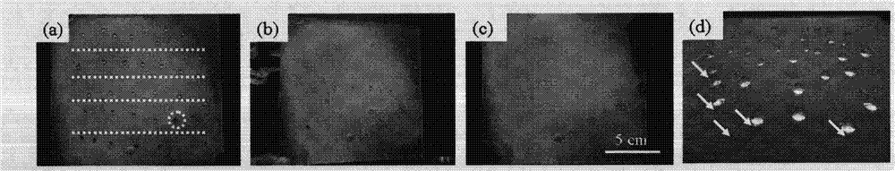 Organosilicon superhydrophobic nano-composite coating, and preparation method and use thereof