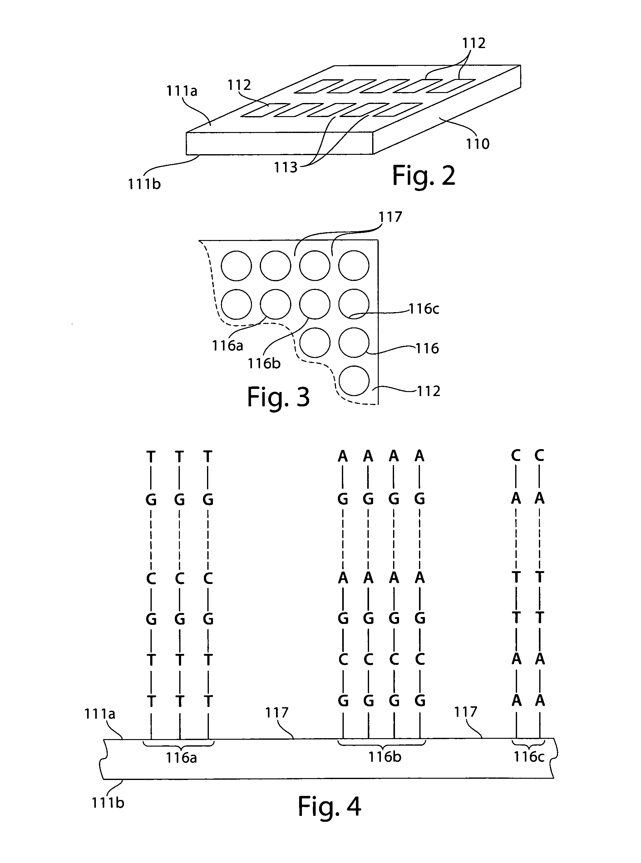 High resolution chromosomal mapping