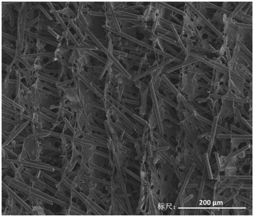 Thermal interface composite material, and preparation method and application thereof