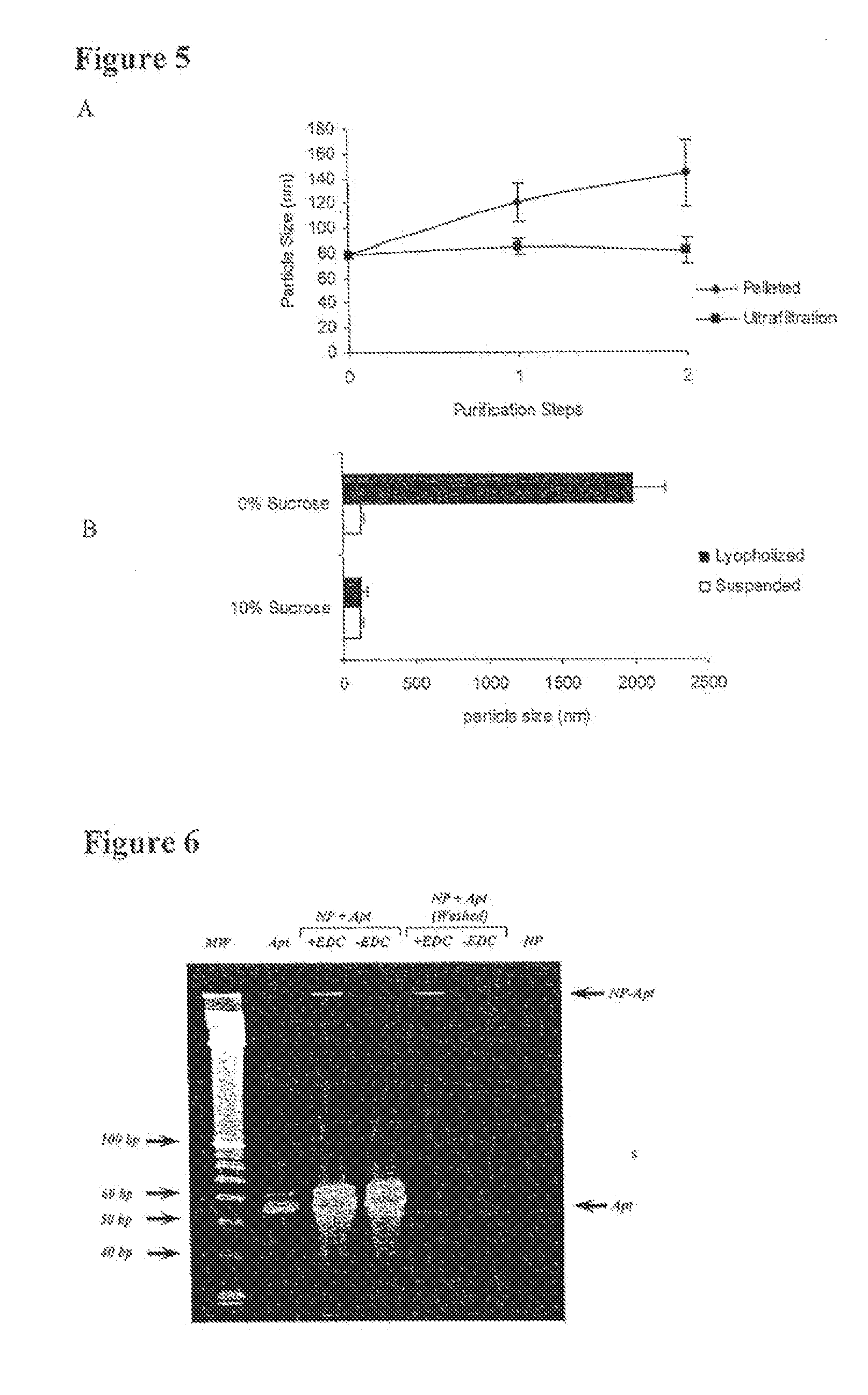 System for Targeted Delivery of Therapeutic Agents