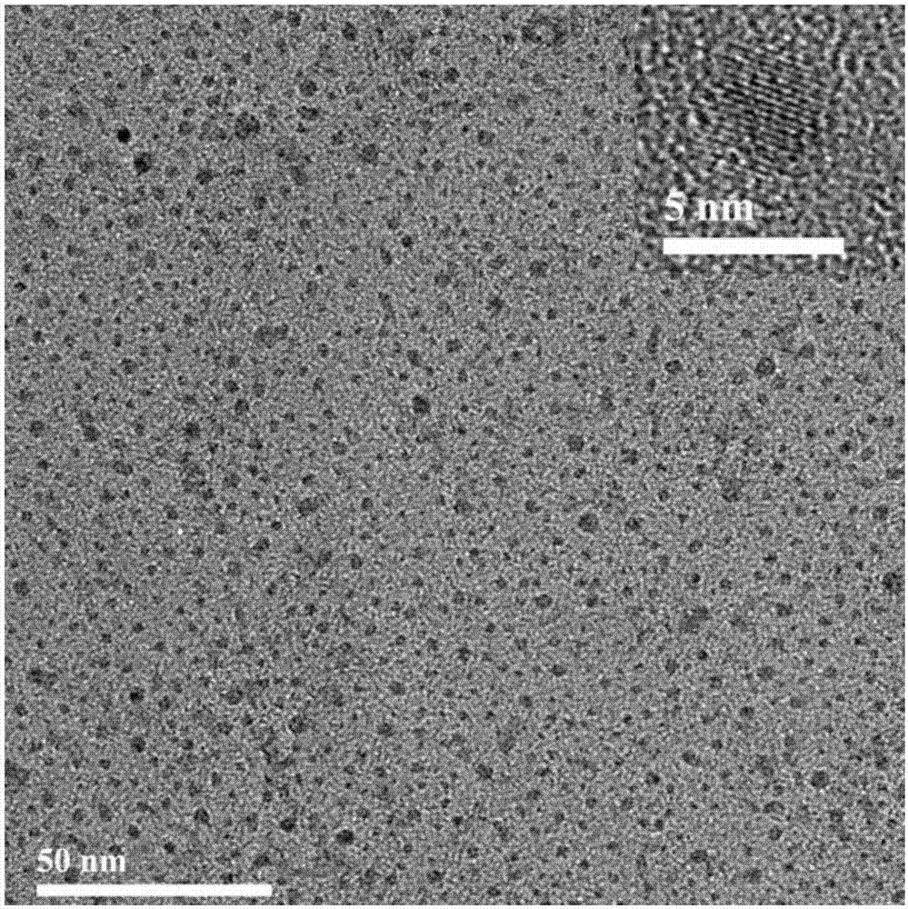 Nitrogen-doped carbon quantum dot material as well as preparation method and application thereof