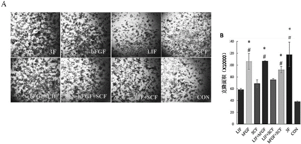 Method for in-vitro long-time stable culture of chicken embryonic stem cells