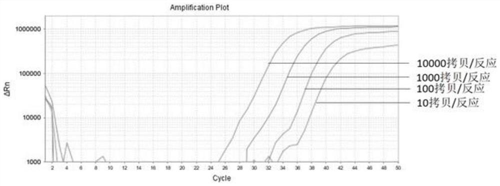 Digestive tract tumor marker combination, detection kit and application thereof