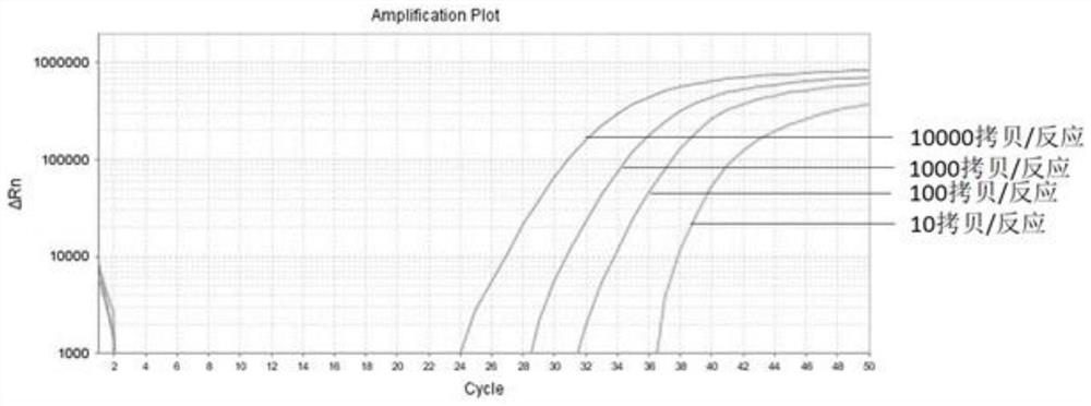 Digestive tract tumor marker combination, detection kit and application thereof