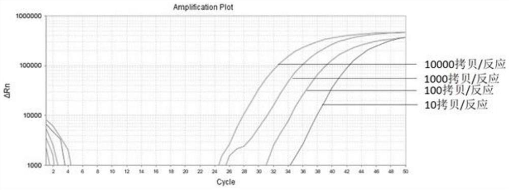 Digestive tract tumor marker combination, detection kit and application thereof