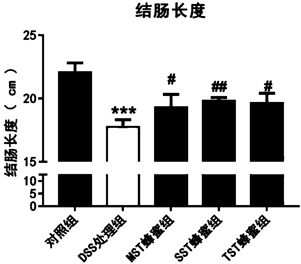 Stingless bee honey extract and extracting method and application thereof