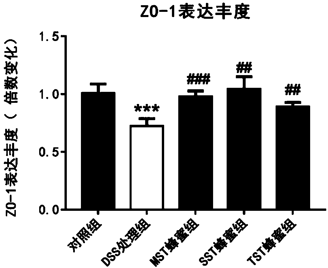 Stingless bee honey extract and extracting method and application thereof