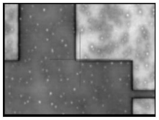 Optimization method for improving photoetching defects caused by water adsorption of front-layer film in photoetching