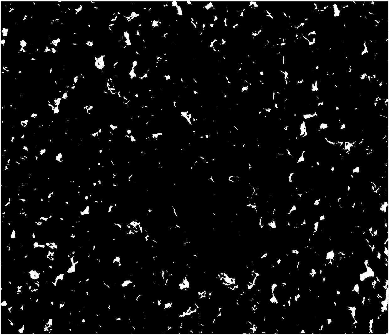 Method for injection molding stainless steel insert and stainless steel insert