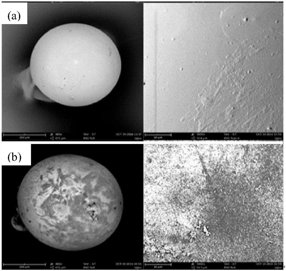 Graft modified chitosan microsphere and preparation method and application thereof