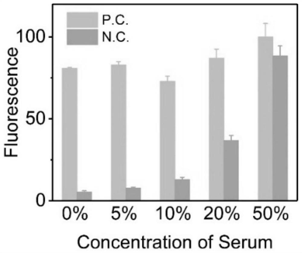 Thrombin detection method based on magnetic separation of deoxyribozyme and circular cutting and thrombin kit