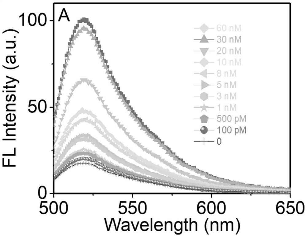 Thrombin detection method based on magnetic separation of deoxyribozyme and circular cutting and thrombin kit