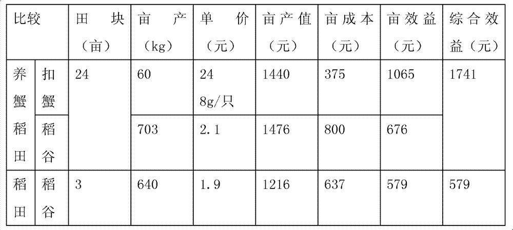 Method for breeding juvenile crabs in rice fields