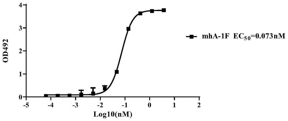 Neutralizing antibody against novel coronavirus, antigen-binding fragment thereof and application thereof