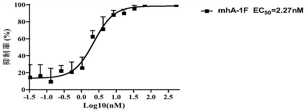 Neutralizing antibody against novel coronavirus, antigen-binding fragment thereof and application thereof