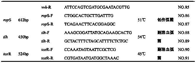 Gene chip for detecting nine pathogenicity vibrios in marine products