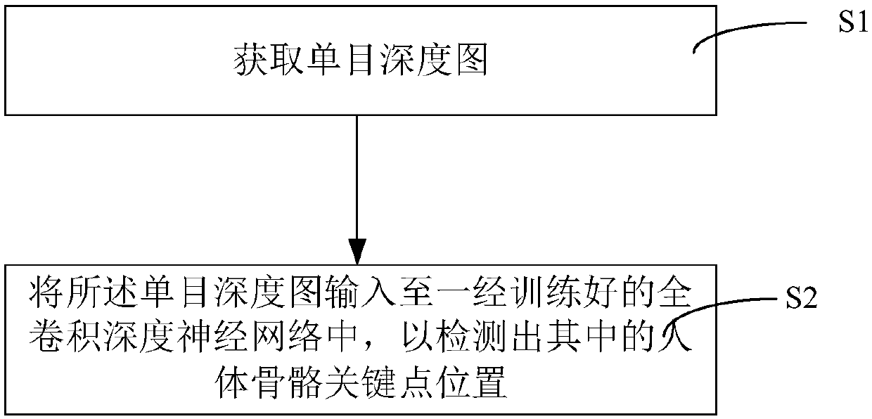 Human skeleton key point detection method and device