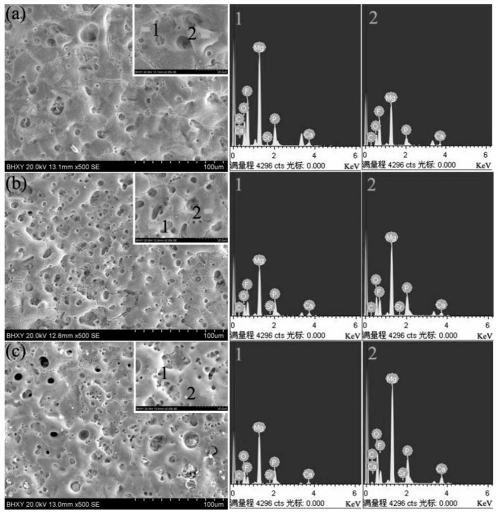 A Micro-arc Oxidation Electrolyte with Low Calcium-Phosphorus Ratio