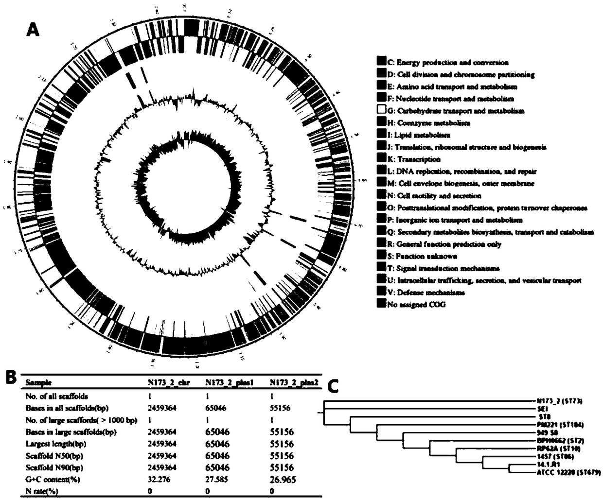 Staphylococcus epidermidis with broad-spectrum antibacterial activity for gram-positive drug resistant bacteria as well as screening method and application of staphylococcus epidermidis