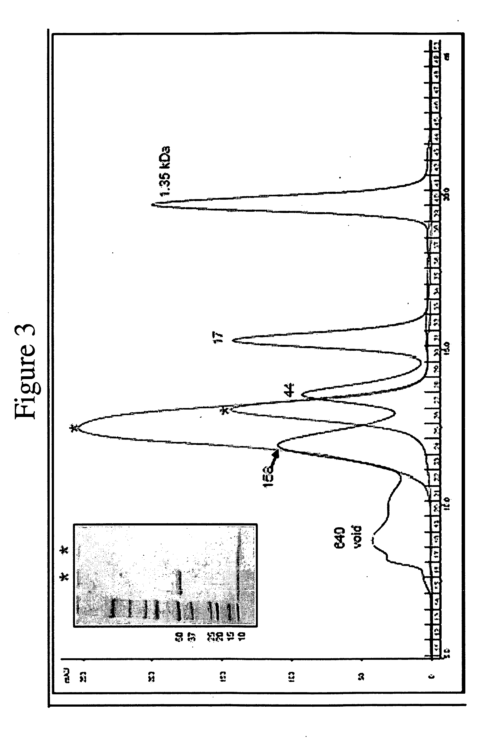 Octameric Protein For Use In Bionanotechnology Applications