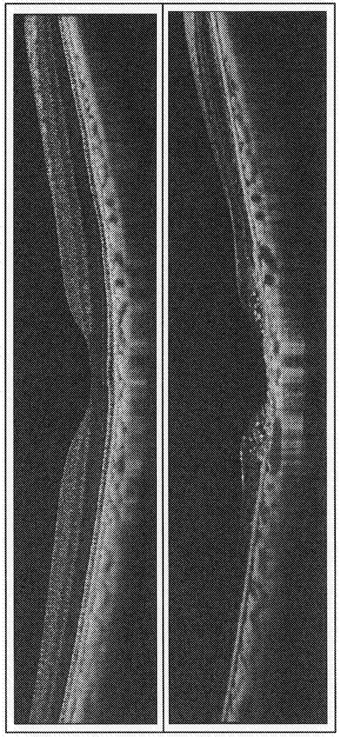 Non-human primate model of age-related macular degeneration and method for producing same