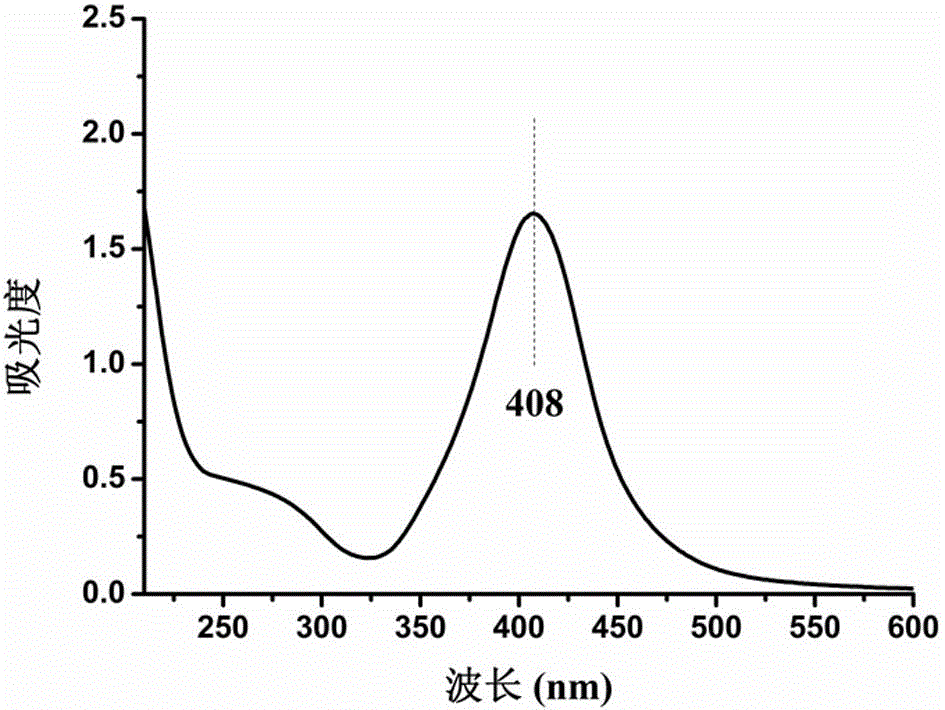 Preparation method of polysaccharide nano-silver colloidal solution