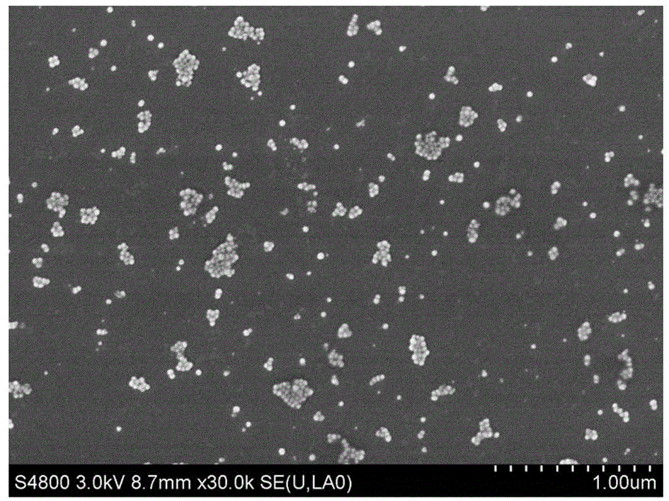 Preparation method of polysaccharide nano-silver colloidal solution