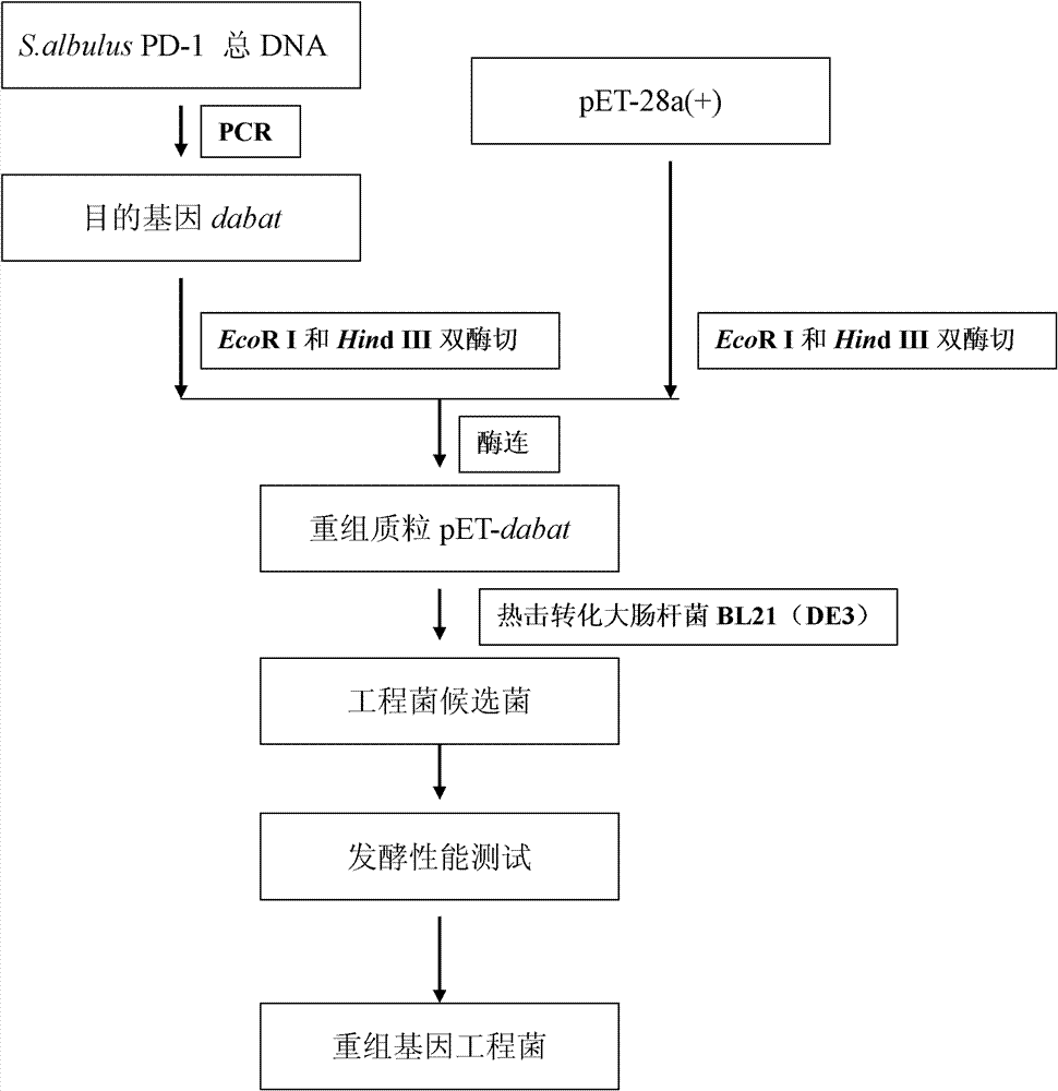 Diaminobutyrate-2-oxoglutarate transaminase and application thereof