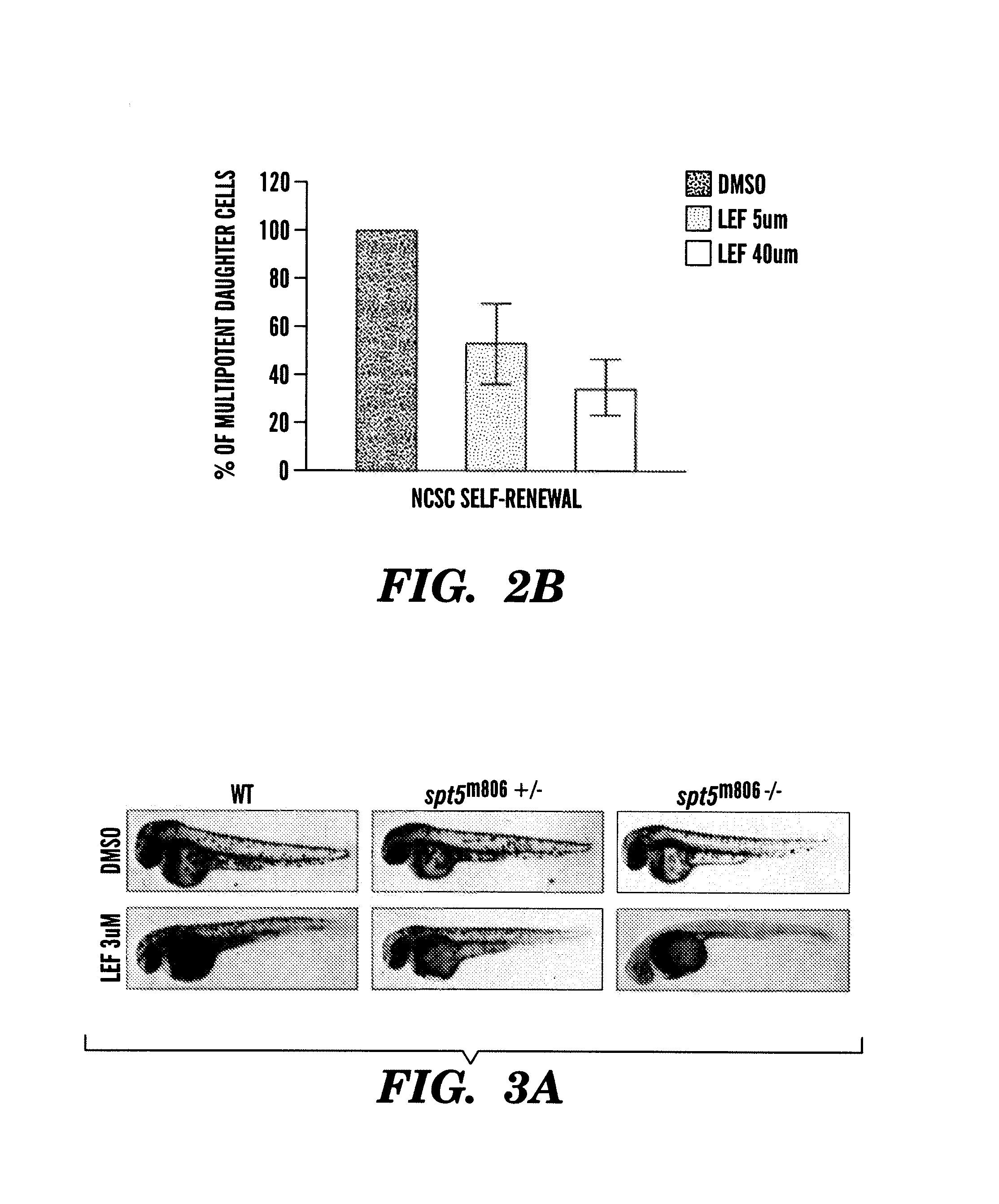 Methods for treatment of melanoma