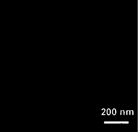 Environment-friendly antifreezing agent for fruit trees and preparation method of antifreezing agent