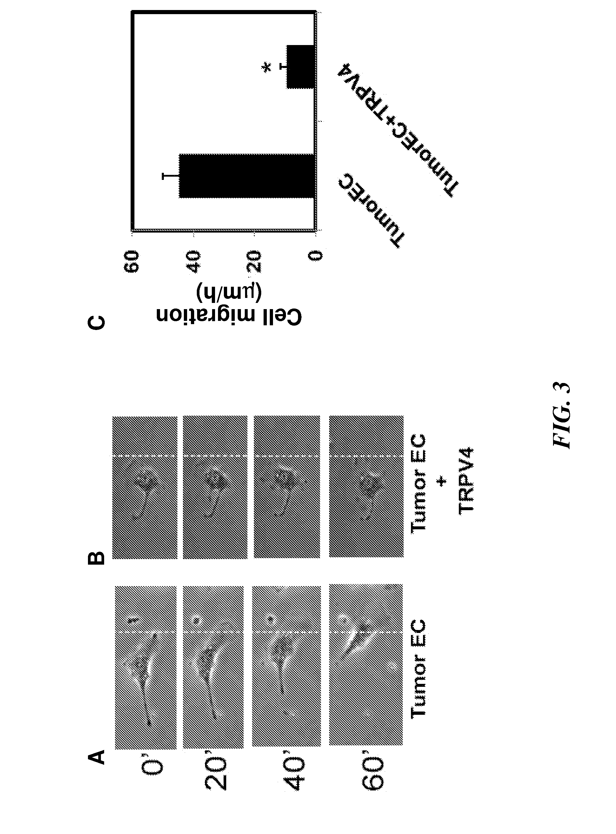 Improving efficacy of cancer therapy