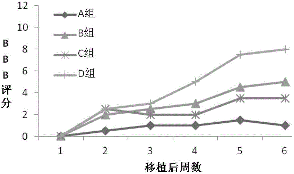 Nerve regeneration biogum and preparation method and application thereof