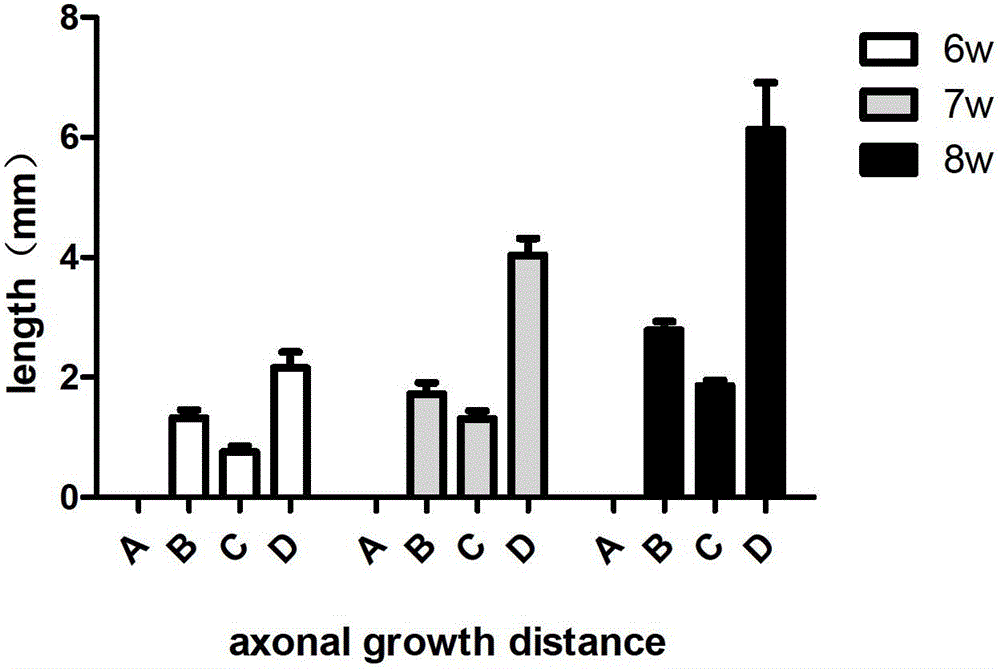 Nerve regeneration biogum and preparation method and application thereof