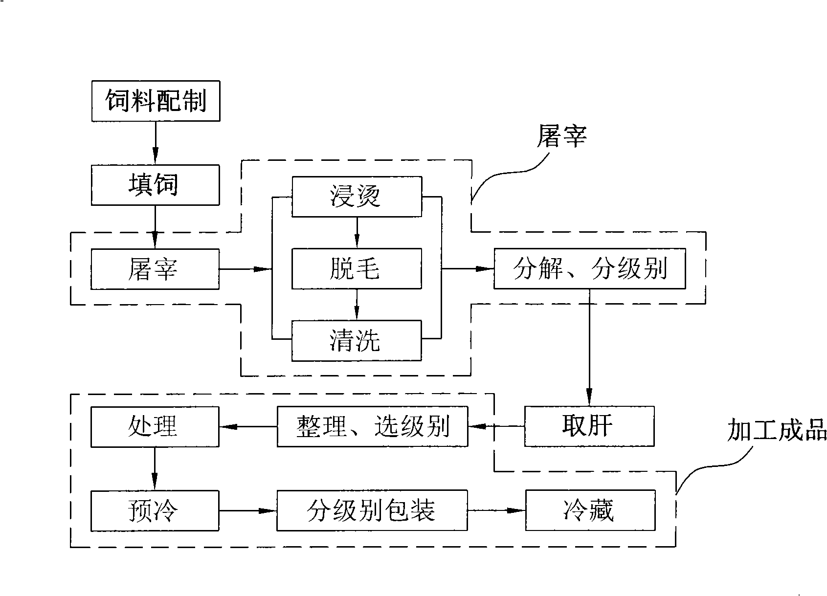 Forced-feeding method for improving developing quality of goose liver, used feed and forced-feeding machine