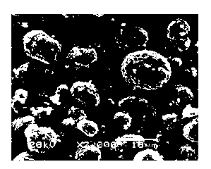 Nickel cobalt lithium manganate composite cathode material and preparation method of nickel cobalt lithium manganate composite cathode material