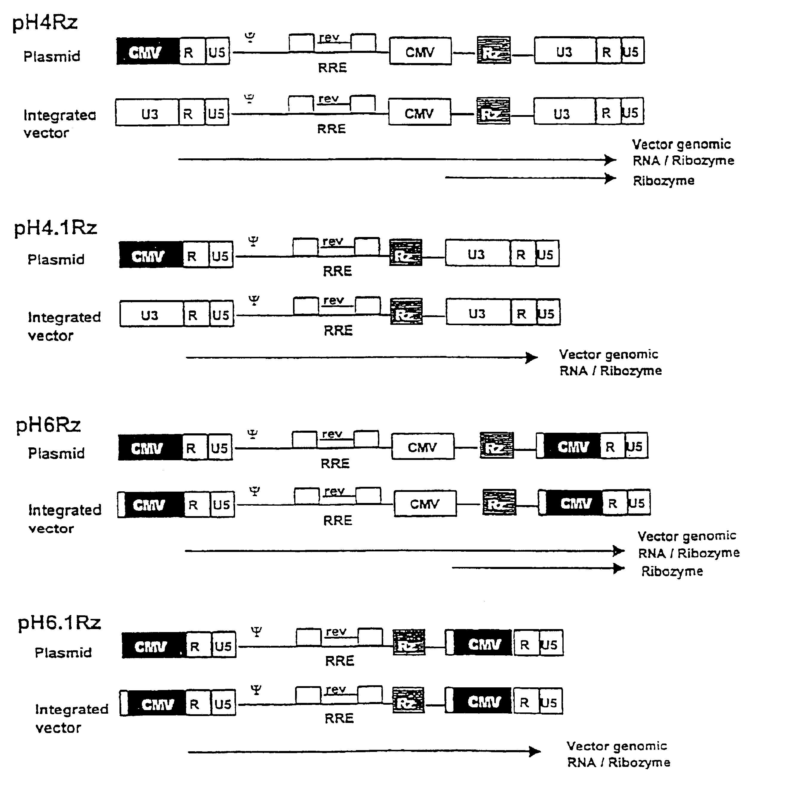 Anti-viral vectors