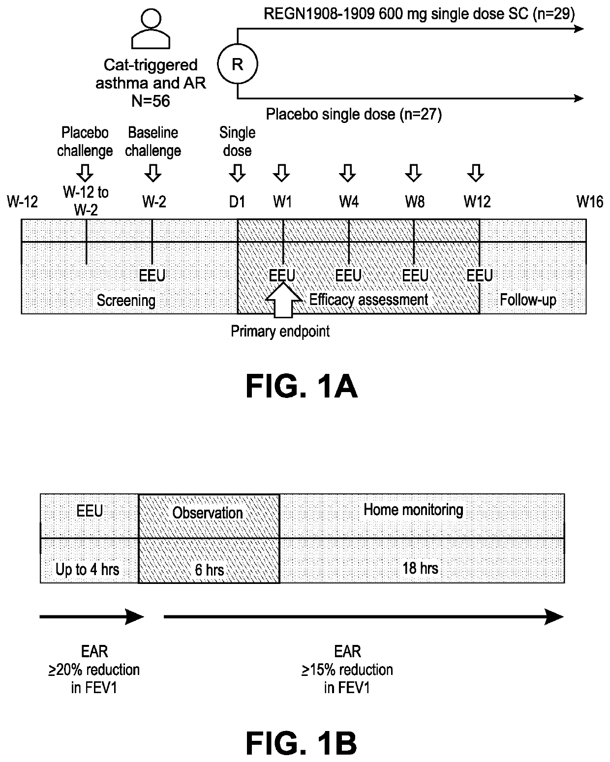 Method of treating an allergy with allergen-specific monoclonal antibodies