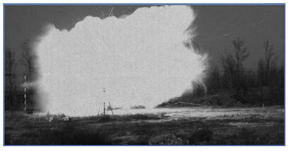 Transient flame detection method based on image processing