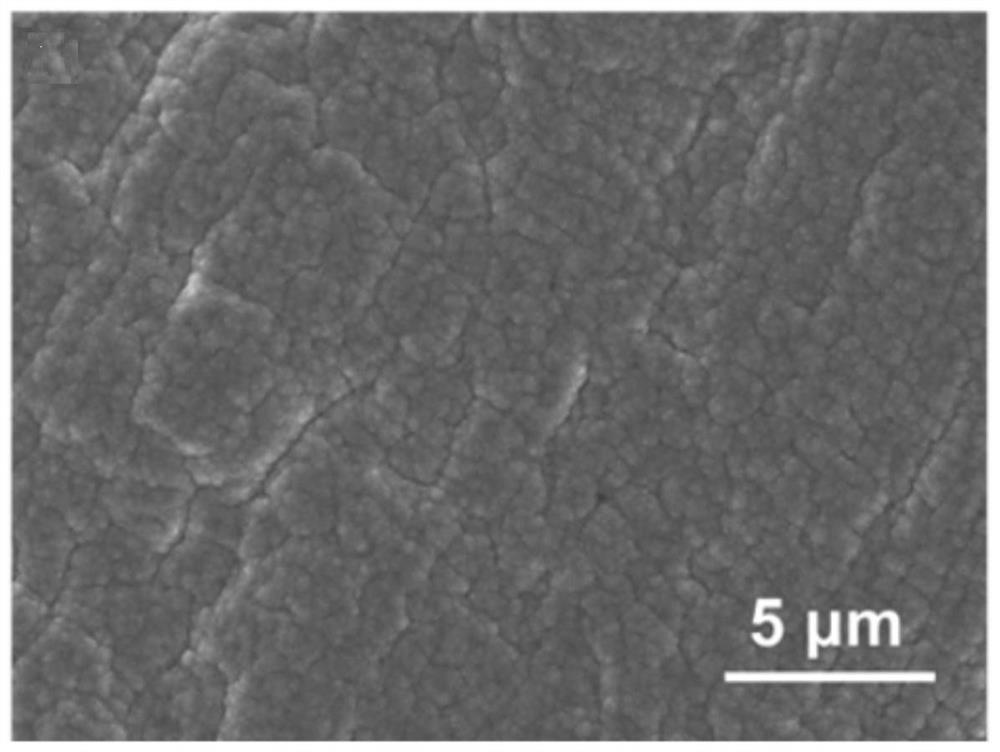 Lithium metal negative electrode, preparation method thereof and lithium-ion battery