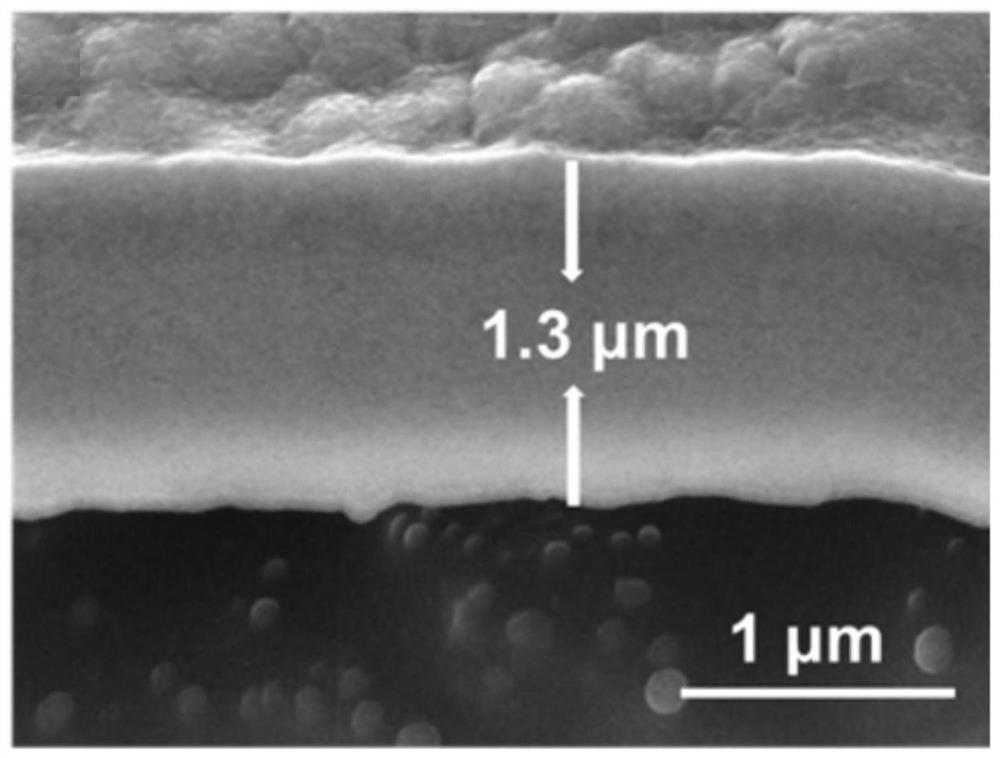 Lithium metal negative electrode, preparation method thereof and lithium-ion battery