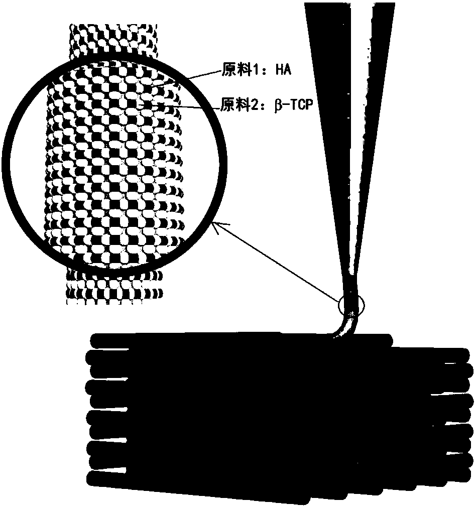 3D printing based degradation-controllable bone tissue engineering scaffold and preparation method