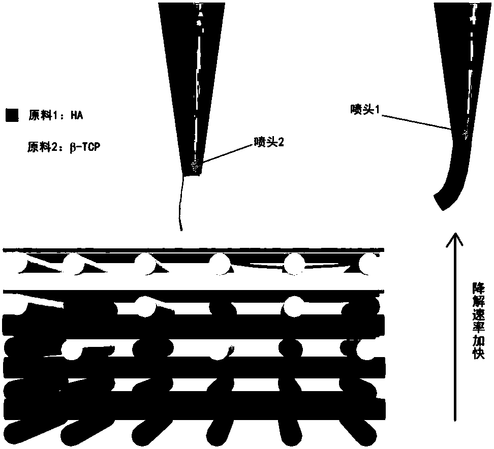 3D printing based degradation-controllable bone tissue engineering scaffold and preparation method