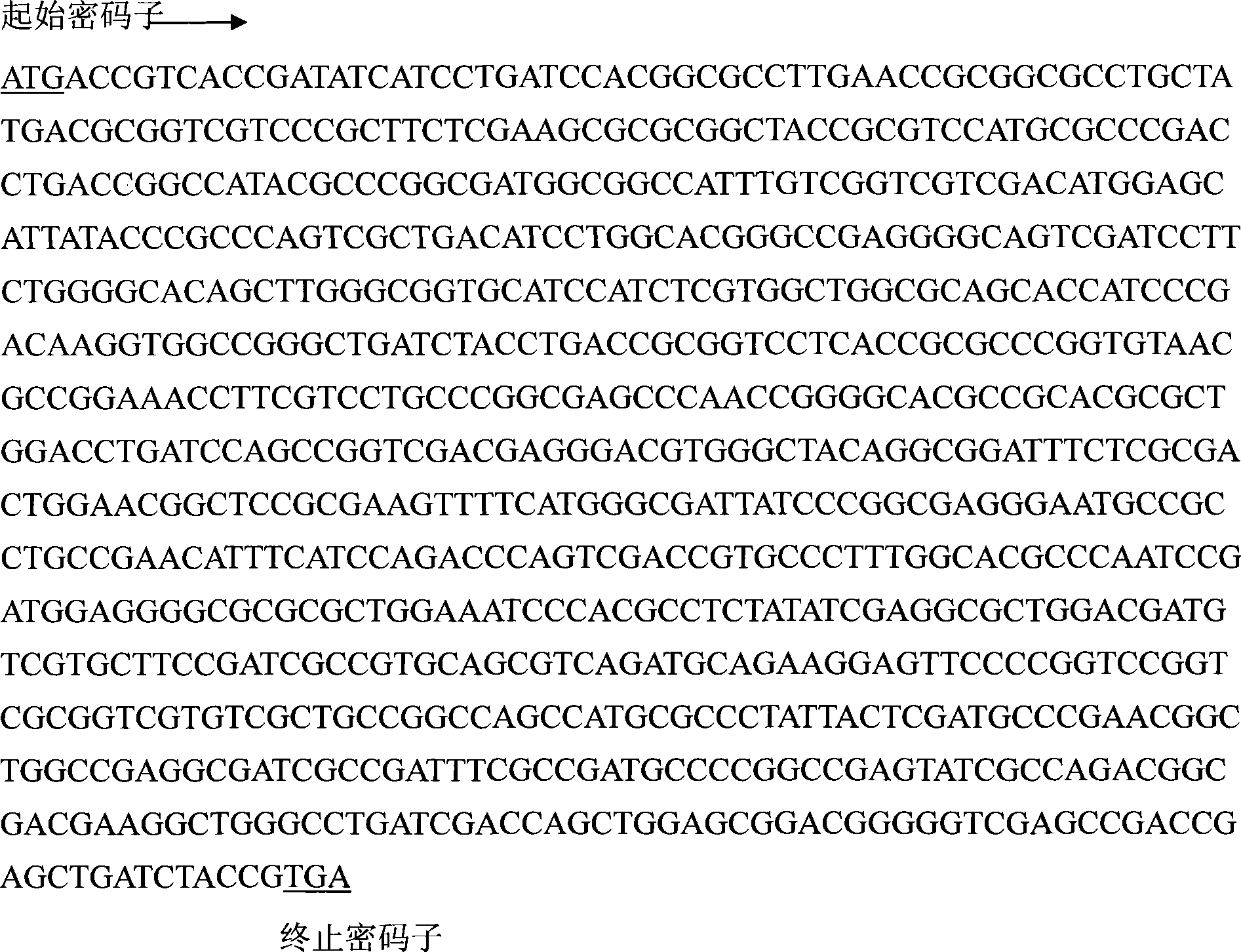 Pyrethroid insecticide hydrolytic enzyme genes