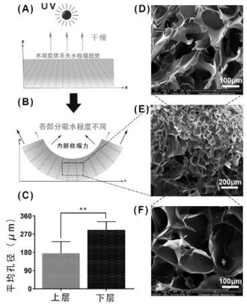 A kind of hydrogel vascular microstent and preparation method thereof