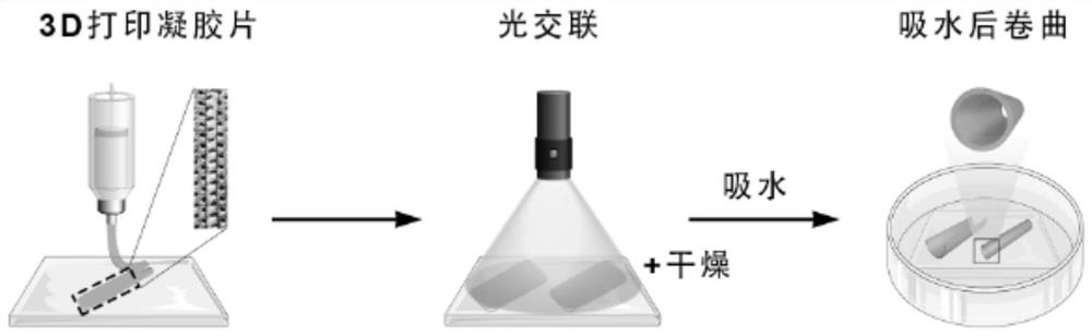 A kind of hydrogel vascular microstent and preparation method thereof