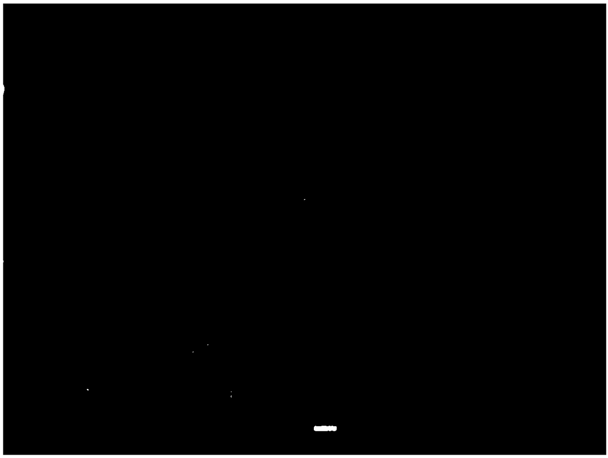 Degradable medical hemostatic material and preparation method thereof