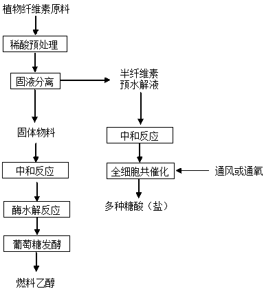 Method for co-producing plurality of saccharic acids from cellulose fuel ethanol