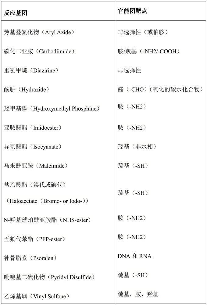 Double Antigen Sandwich Detection Method for Antibodies