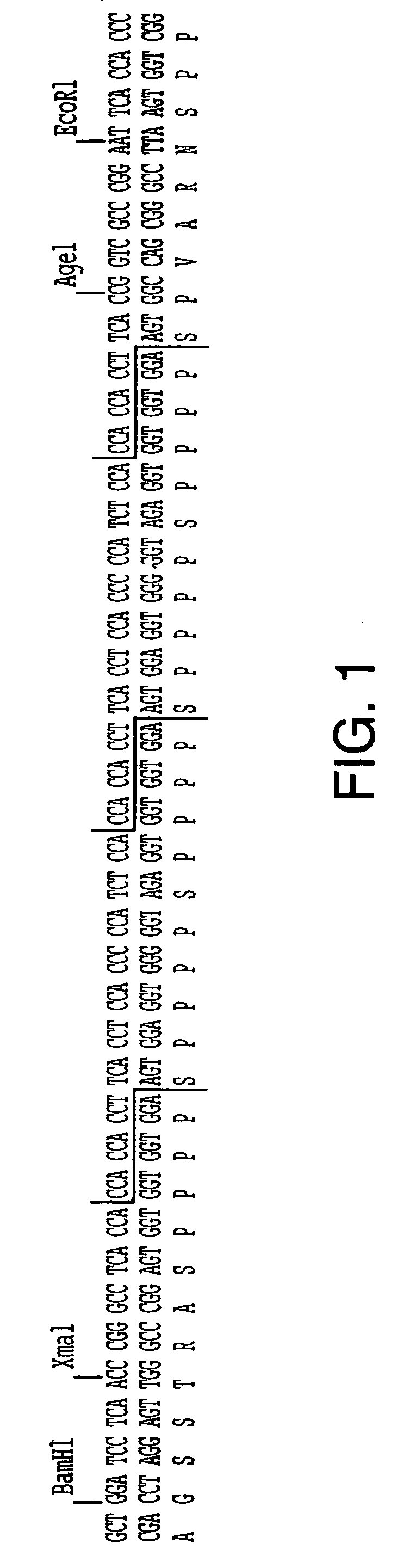 Synthetic genes for plant gums and other hydroxyproline-rich glycoproteins