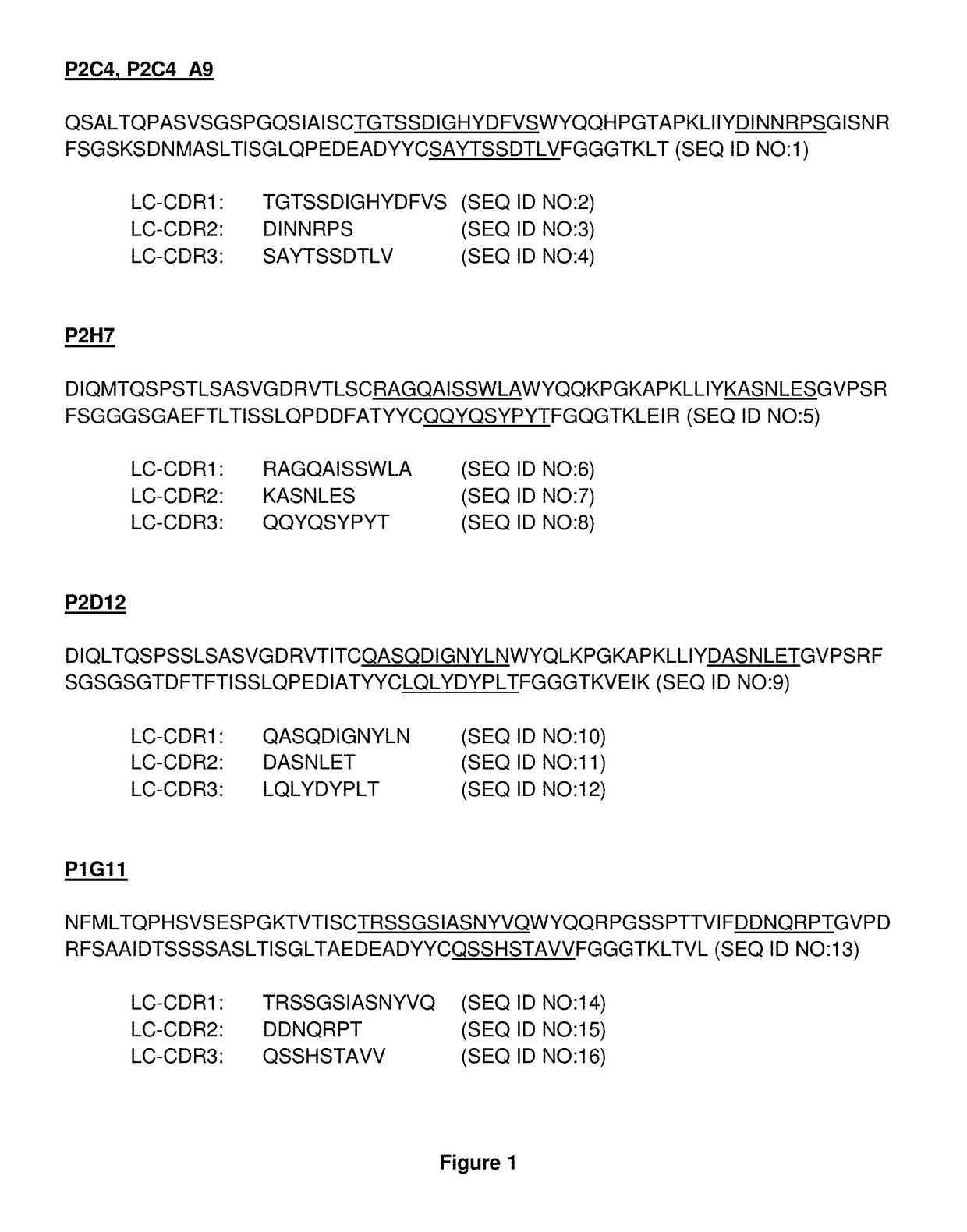 Il2rbeta/common gamma chain antibodies